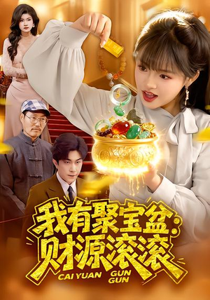 我有聚宝盆：财源滚滚（101集）熬夜必追完的热门短剧