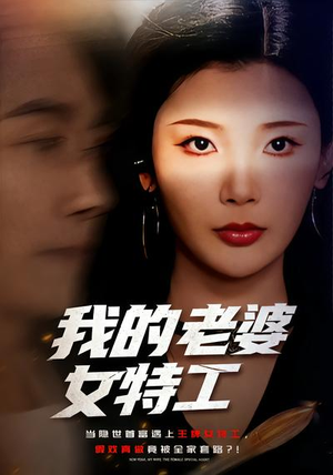 我的老婆女特工（62集）最新热播短剧推荐