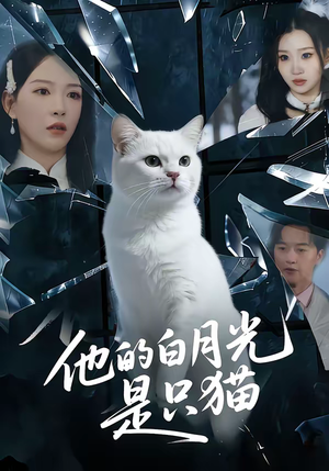 他的白月光是只猫（69集）短剧最热榜最近火