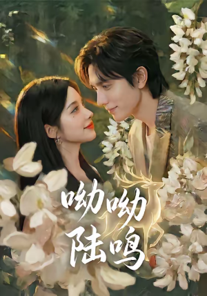 呦呦陆鸣（67集）火爆短剧精彩分享