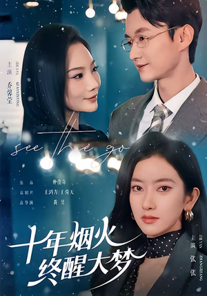 十年烟火，终醒大梦（60集）最新短剧热门推荐