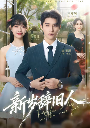 新岁辞旧人(76集) 新岁辞旧人(76集)短剧完结全集限免刷