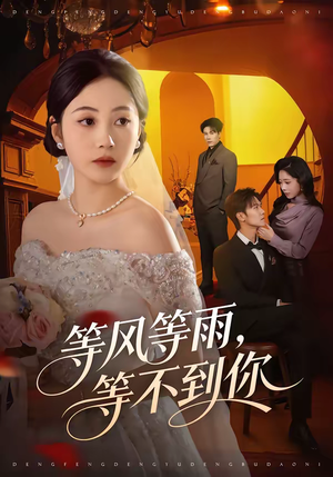 等风等雨,等不到你(65集) 等风等雨,等不到你(65集)好看又精彩的短剧来了
