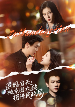 退婚当天:被京圈大佬拐进民政局(80集) 退婚当天:被京圈大佬拐进民政局(80集)短剧全剧终限免合集