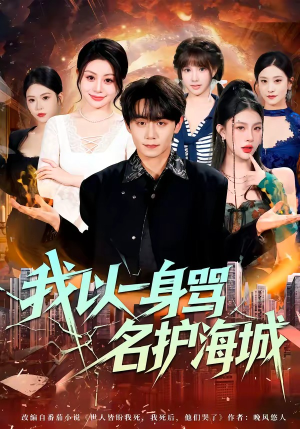 我以一身骂名护海城（79集）热播短剧停不下来