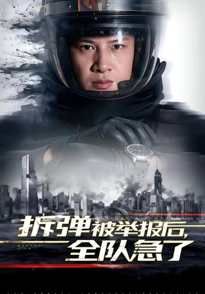 拆弹被举报后，全队急了（50集）超级好看短剧推荐