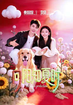 向阳知夏时（80集）精彩短剧等你来看