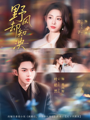 野风却知泱（80集）热门免费短剧推荐