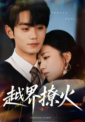 越界撩火（64集）短剧合集4K修复版