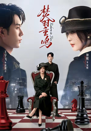 焚羽重鸣（60集）短剧全系列永久免费