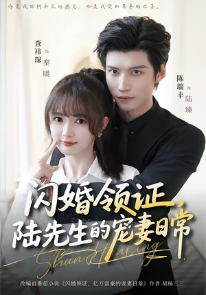 闪婚领证，陆先生的宠妻日常（86集）热播短剧抢先看大结局