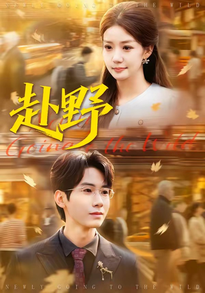 赴野（40集）一口气看完短剧大结局