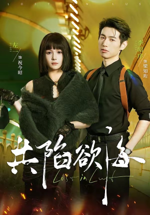 共陷欲海（66集）短剧热播全集免费追