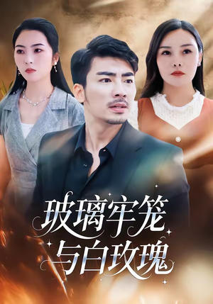 玻璃牢笼与白玫瑰（75集）古装热门短剧推荐