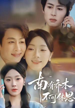 南有乔木，不可休思（68集）短剧推荐太好看了