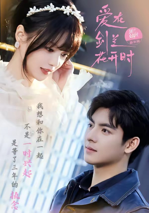 爱在剑兰花开时（56集）全集短剧大结局抢先看