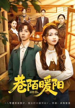 巷陌暖阳（80集）好看剧情短剧推荐分享