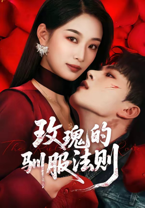 玫瑰的驯服法则（65集）精彩短剧片段分享