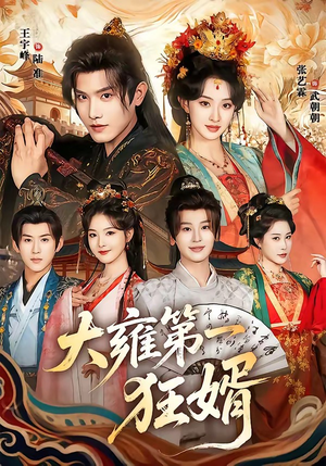 大雍第一狂婿（90集）好看的短剧又来了