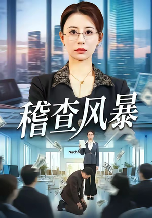 稽查风暴（79集）短剧合集4K修复版