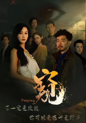 窥＆窥伺（37集）新剧来袭热门短剧推荐