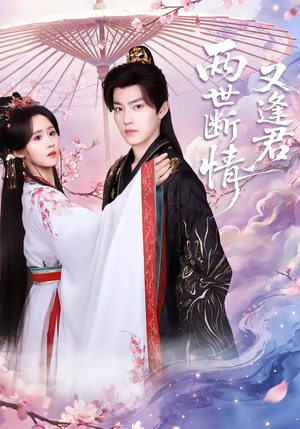 两世断情又逢君（71集）热门短剧不停更新