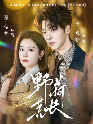 野荷荒长（86集）短剧超清全集在线看