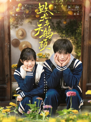 败犬与天鹅颈（71集）短剧全集无删完整版