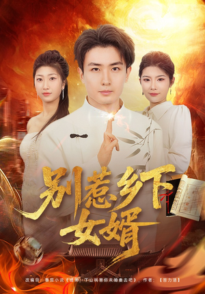 别惹乡下女婿（80集）短剧全集特惠限时看