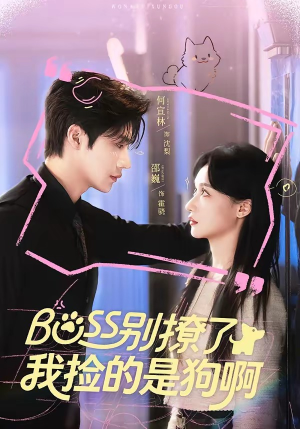 Boss别撩了，我捡的是狗呀（65集）精彩短剧继续更新