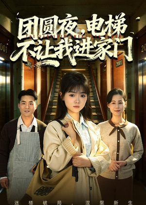 团圆夜,电梯不让我进家门(52集) 团圆夜,电梯不让我进家门(52集)深夜短剧推荐精彩片段