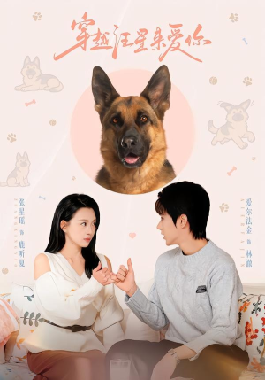 穿越汪星来爱你（62集）每天分享短剧精彩片段