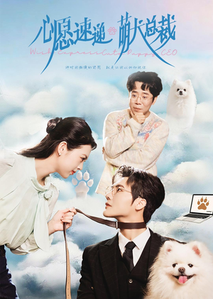 心愿速递之萌犬总裁（50集）短剧合集通宵追更版