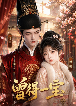 曾得一宝(19集) 曾得一宝(19集)短剧全剧免费合集
