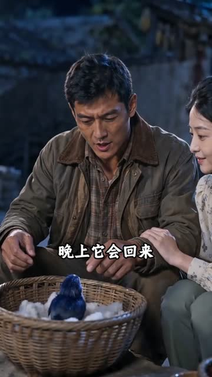 重生七零：青山猎王（55集）短剧全集大结局完整版