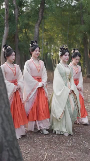 六女背叛后，我觉醒了（80集）深夜短剧精彩分享