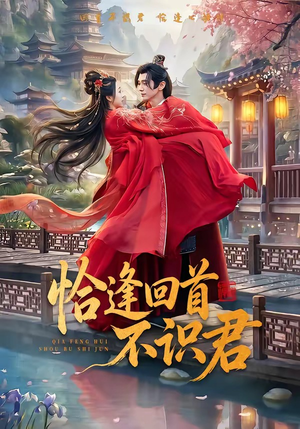 恰逢回首不识君（72集）精彩短剧持续更新