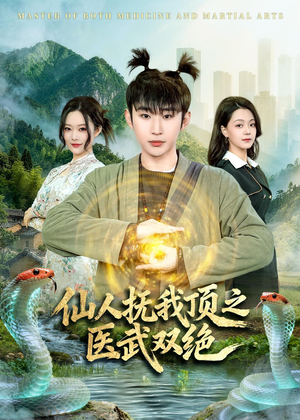 仙人抚我顶之医武双绝（66集）短剧点击左下角看全集