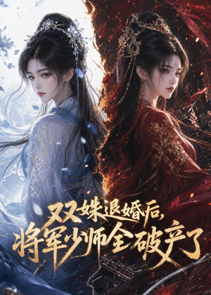 双姝退婚后，将军少师全破产了（30集）每天分享好看精彩片段