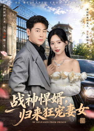 战神悍婿，归来狂宠妻女（83集）短剧全集高清无码版