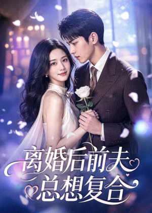 离婚后前夫总想复合（72集）短剧全集解锁零收费