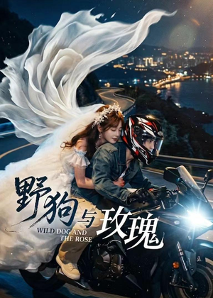 野狗与玫瑰(30集) 野狗与玫瑰(30集)短剧来了精彩继续