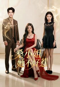桑小姐她不好惹（103集）精彩短剧持续更新