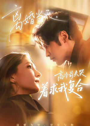 离婚当天，高冷前夫哭着求我复合（77集）短剧全集特惠限时看
