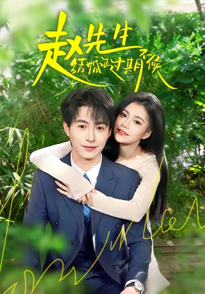 赵先生结婚证过期不候（50集）短剧终极大结局合集