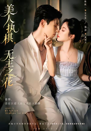 美人执棋，无主之花（65集）短剧推荐正在热播
