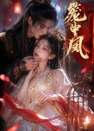 笼中凤（44集）百亿短剧好看计划