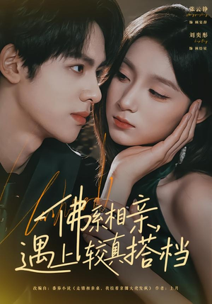 佛系相亲,遇上较真搭档(91集) 佛系相亲,遇上较真搭档(91集)热播短剧推荐分享