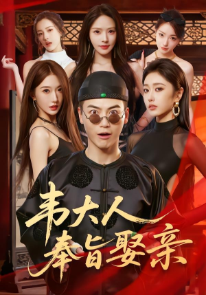 韦大人奉旨娶亲(81集) 韦大人奉旨娶亲(81集)短剧全剧终在线连看
