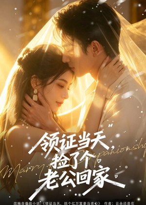 领证当天,捡了个老公回家(80集) 领证当天,捡了个老公回家(80集)短剧全系列永久免费